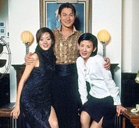 梅艳芳个人资料(梅艳芳的生平简介)-