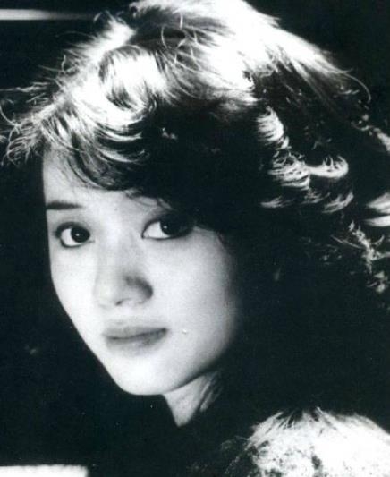 梅艳芳个人资料(梅艳芳的生平简介)-