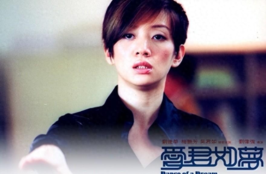 梅艳芳个人资料(梅艳芳的生平简介)-