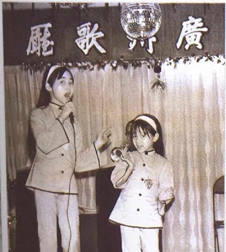 梅艳芳个人资料(梅艳芳的生平简介)-