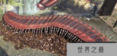 ​体型最大的史前生物，十大史前巨型动物