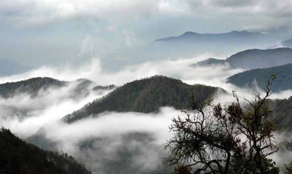 台湾玉山风景秀美,有“中国东部最高峰”之称,景区分为4大区