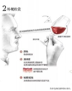 ​新西兰红酒品牌 梅洛_西班牙梅洛红葡萄酒多少钱