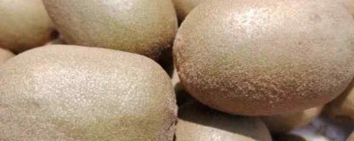 ​猕猴桃的营养价值及营养成分