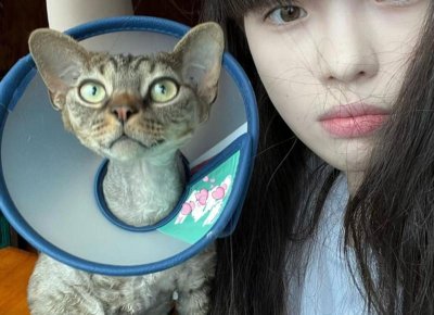 ​怎么风趣的拒绝表白