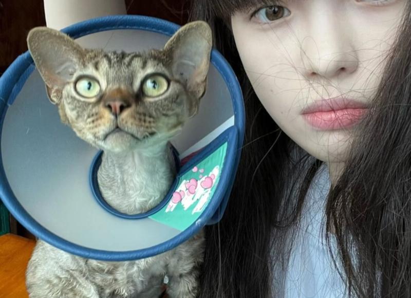 怎么风趣的拒绝表白 怎么风趣的拒绝表白