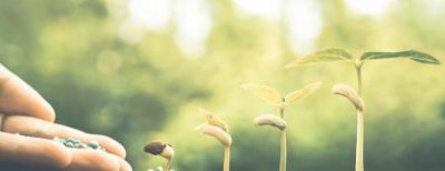 ​聂树斌案是否处理相关办案人员？聂树斌冤案原办人员追责近况