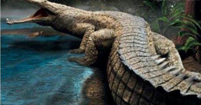 人间远古时代的机器, 敢吃恐龙的鳄鱼!