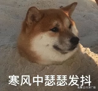 ​盘点 | 急速飙升！还要反转？天津即将发生这些变化！