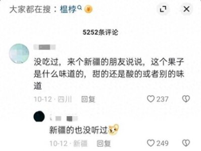 ​“新疆木瓜”榅桲熟了！很多人都没吃过