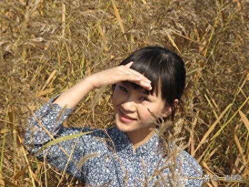 喋血特遣队——《红狐行动》