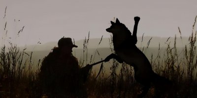 ​蛇头被砍下后为何还会跳起来咬人？