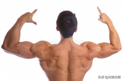 ​练好几大背部王牌训练动作，你的背部一定不会差