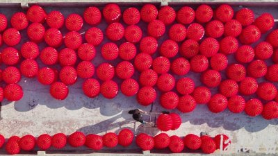 ​新春走基层丨藁城宫灯，让世界爱上中国年