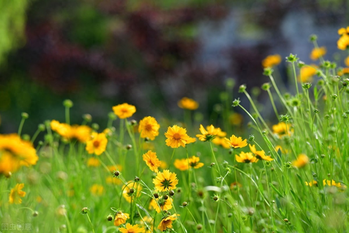 路漫漫其修远兮,吾将上下而求索,屈原12句经典诗句