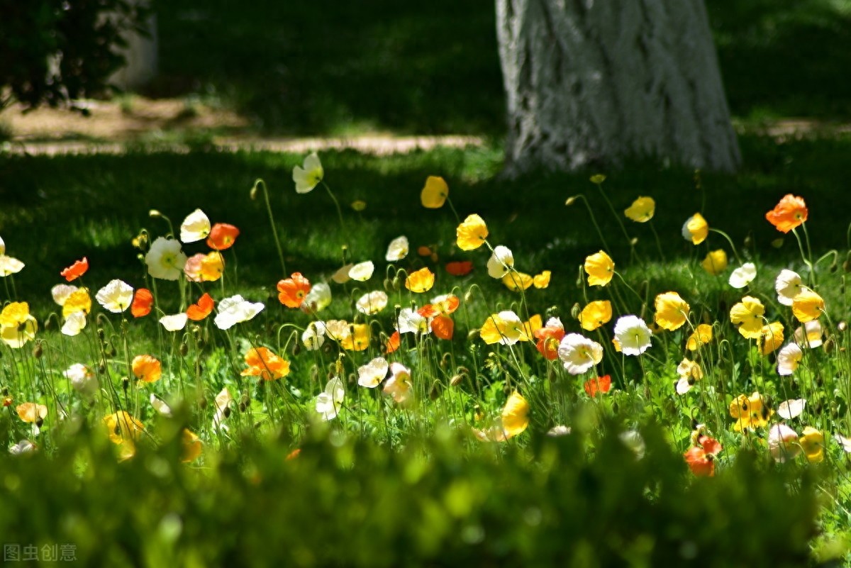 路漫漫其修远兮,吾将上下而求索,屈原12句经典诗句