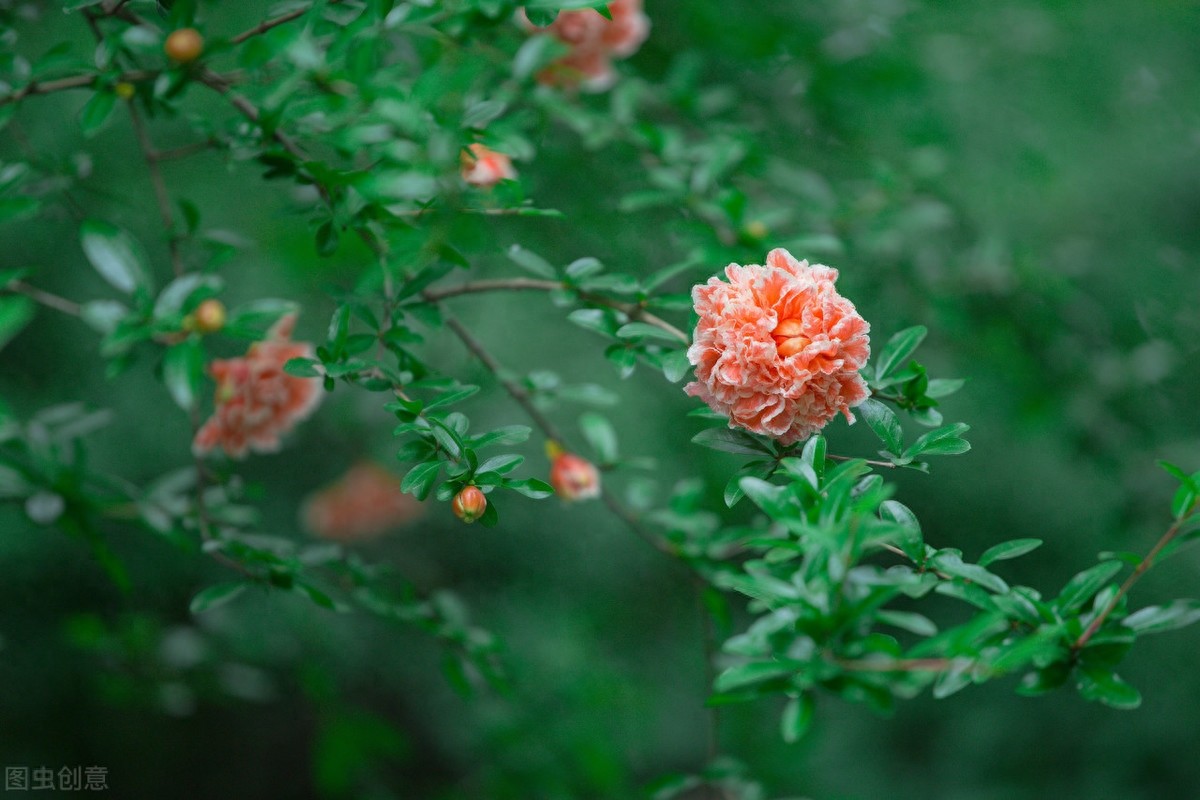 路漫漫其修远兮,吾将上下而求索,屈原12句经典诗句