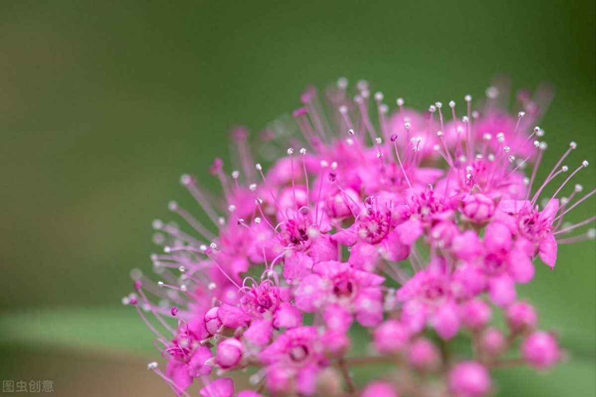 路漫漫其修远兮,吾将上下而求索,屈原12句经典诗句