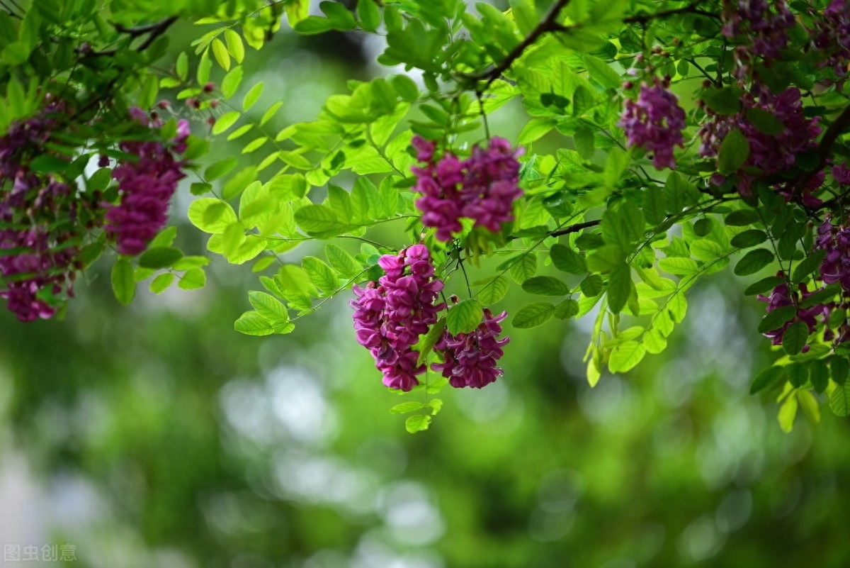 路漫漫其修远兮,吾将上下而求索,屈原12句经典诗句