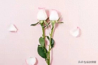 心态决定人生：经典诗句中的智慧之光