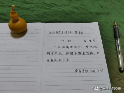 仅凭一句“偷得浮生半日闲”的诗句就名垂千古的诗人，你知道吗？