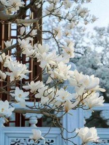 探寻古人的极致浪漫！那些高级到骨子里的唯美诗句