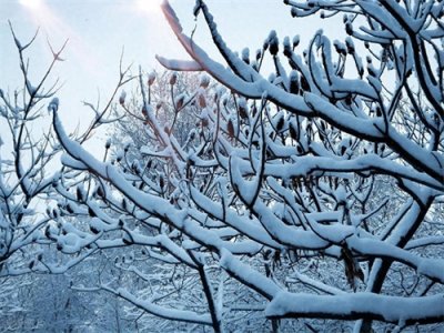 有哪些不提雪字，描写雪很大的诗句