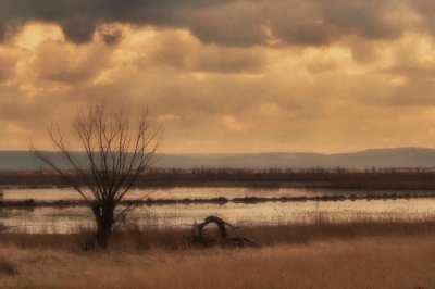 感慨表达岁月流逝的古诗句