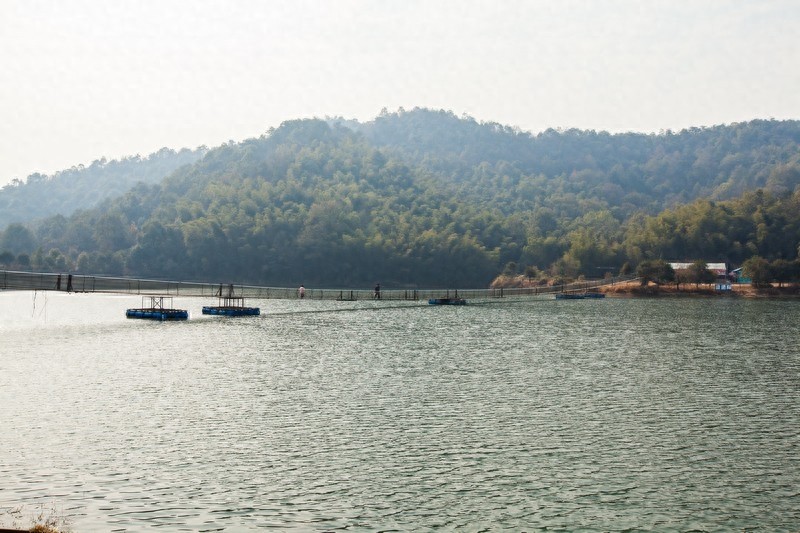 石燕湖，湖南省首家野生动物园，长沙人最受欢迎的十佳旅游景区