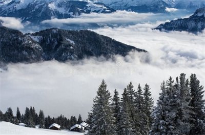 ​登高必自卑——浅议