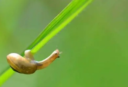 1710284476166576.png image.png