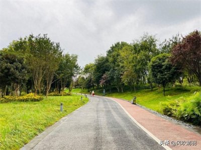 ​成都2个“天府公园”，风格迥异，都超过3000亩，傻傻分不清楚？