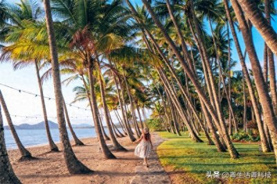 ​棕榈湾位列“全球最佳海滩”榜首 澳洲昆士兰独特休闲旅游目的地