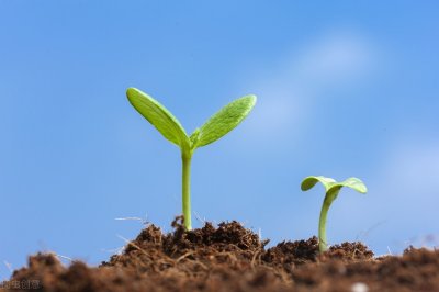 ​关于团队的句子经典语句（激励团队人心的句子经典）