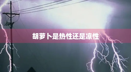胡萝卜三大喝喝作用热性凉白萝卜是泡水食物热性胡萝卜热性还是白萝卜三大小米小米胡萝卜凉性热凉胀气白萝卜吃泡水米粥小米食物食物