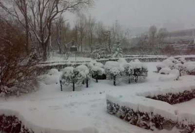 ​冬天补肾最好的方法(冬季怎么养肾补肾)