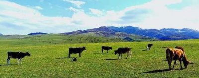 ​格局比较大的女人(格局大的女人的特点)