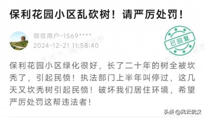 ​武汉一小区大量树木被砍，现场曝光！