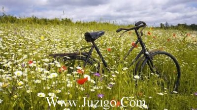 ​整人短信大全85句