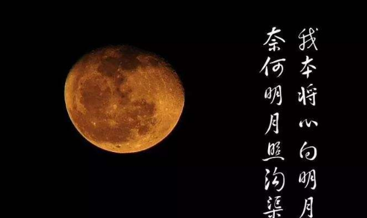 奈何明月照沟渠,奈何明月照沟渠的全诗谁的诗图2