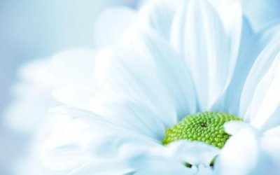 ​形容童年快乐的句子 描写童年的优美句子(精选41句)