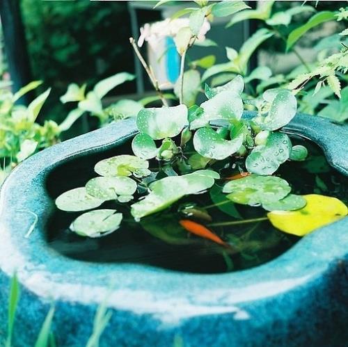 人生遇到挫折鼓励的话