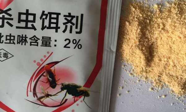 卧室有蟑螂怎么办,蟑螂跑到卧室怎么办图5