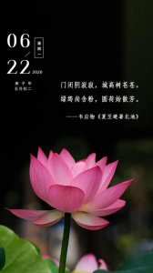 ​赞美老师的话真实点[44条] (您像云杉一般俊秀)