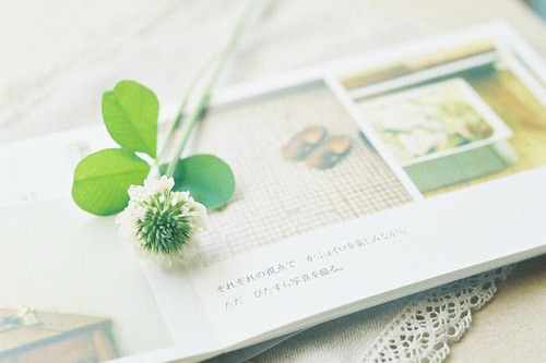 高中作文优美句子摘抄87句