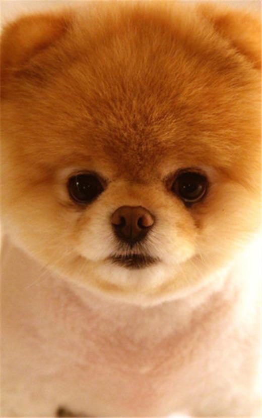 出自论语的精辟语句