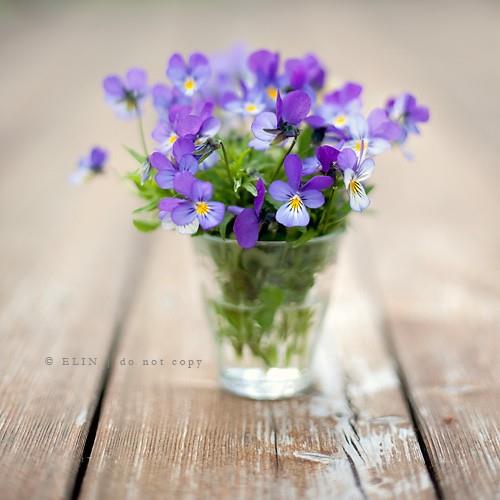 夏天炎热景物描写片段