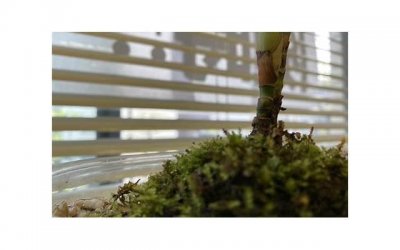 ​“你好，我是新来的顾客，可以跟你坐在一起吗？”