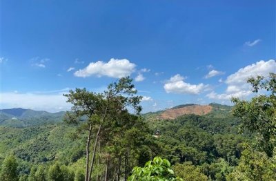 ​开启暑假模式的句子