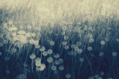 ​让你欲哭无泪的经典爱情语录分享(最新版微信微博句子大全)